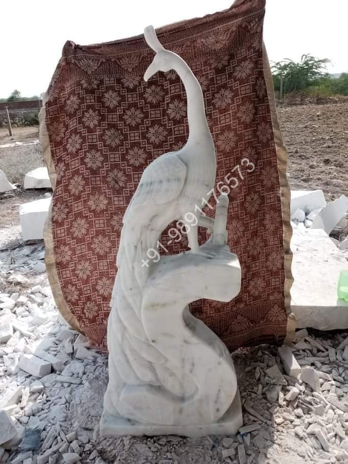 Marble Peacock