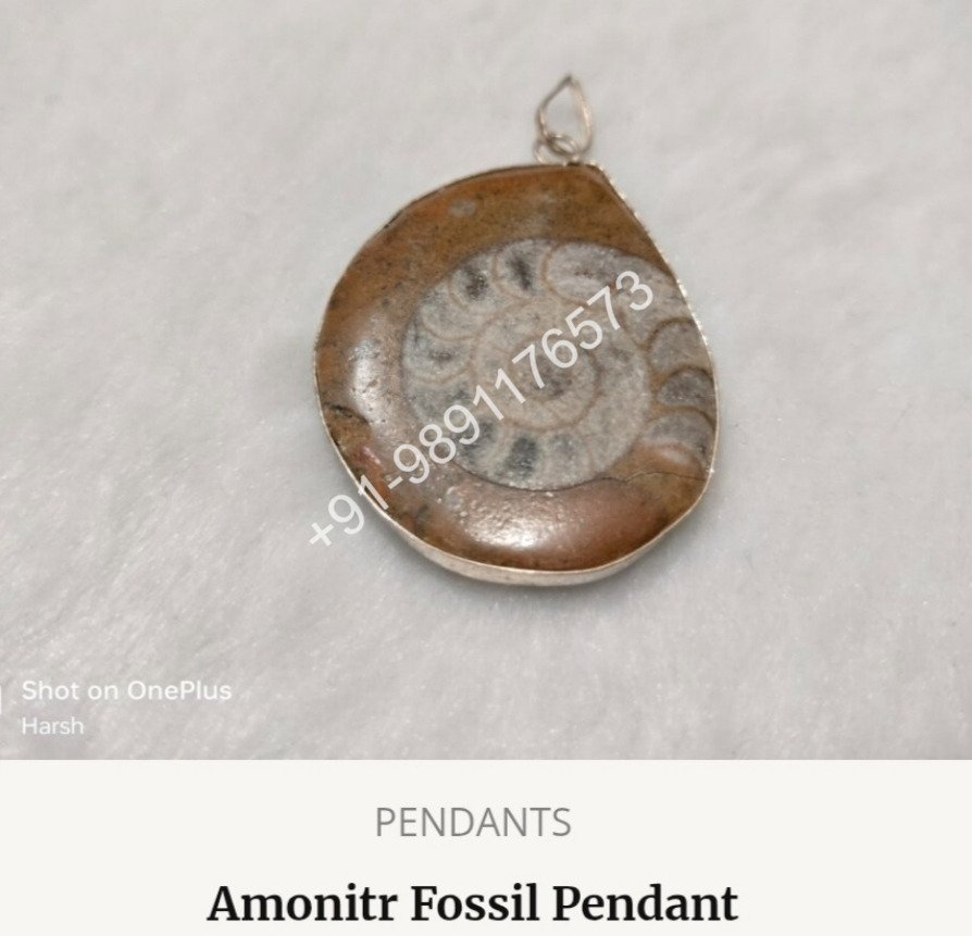 Amozonite Fossil Pendant